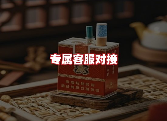 专业团队
